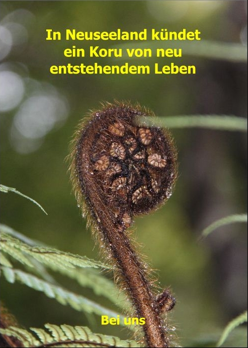 Geburtsanzeige_Seite_1