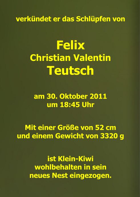 Geburtsanzeige_Seite_2