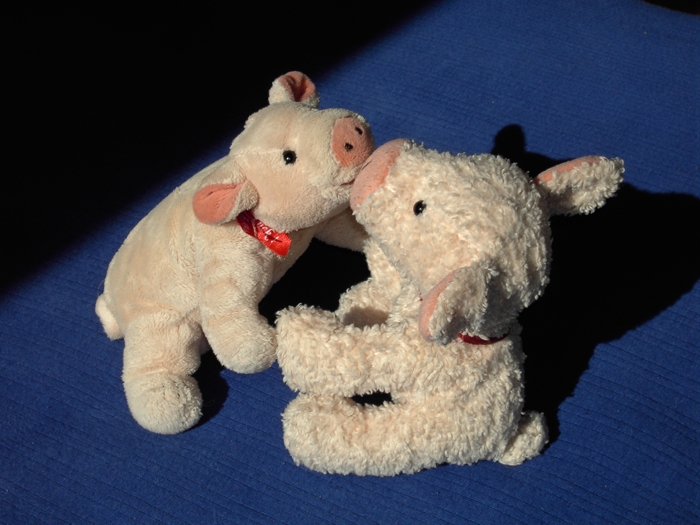 Schweinchen